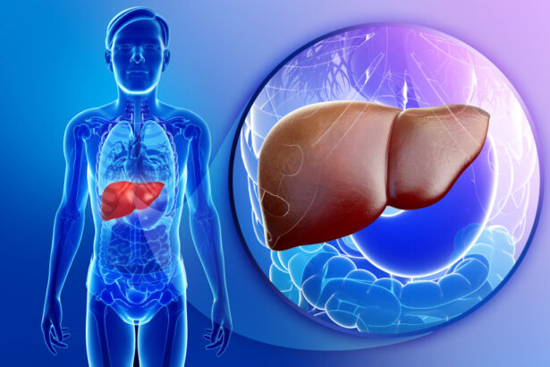Fight Fatty Liver Disease